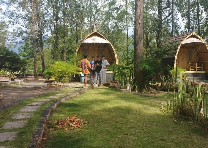 Bamboo Austin Mountbatur