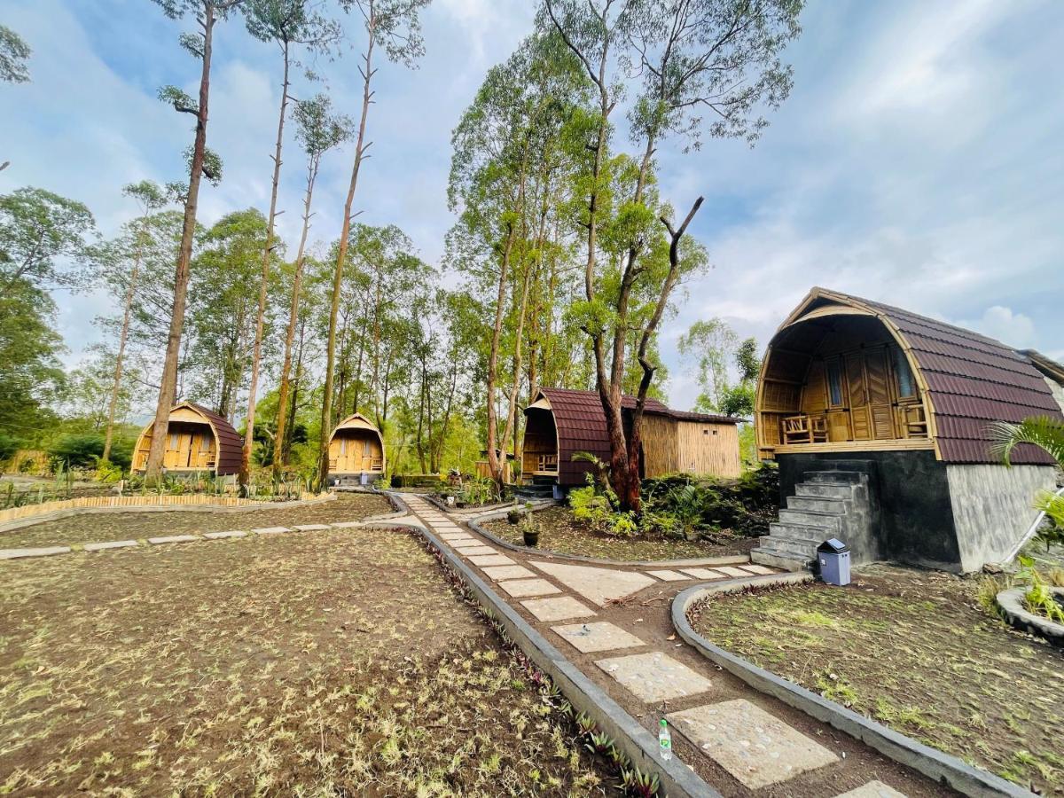Lodge Bamboo Austin Mountbatur *